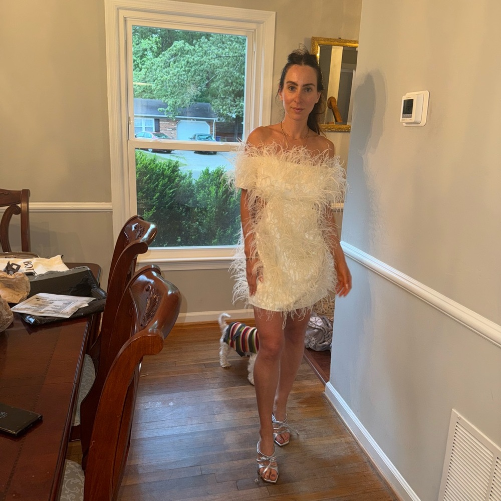 Cult Gaia Ivory Feathered Dress - Picture 6 of 8